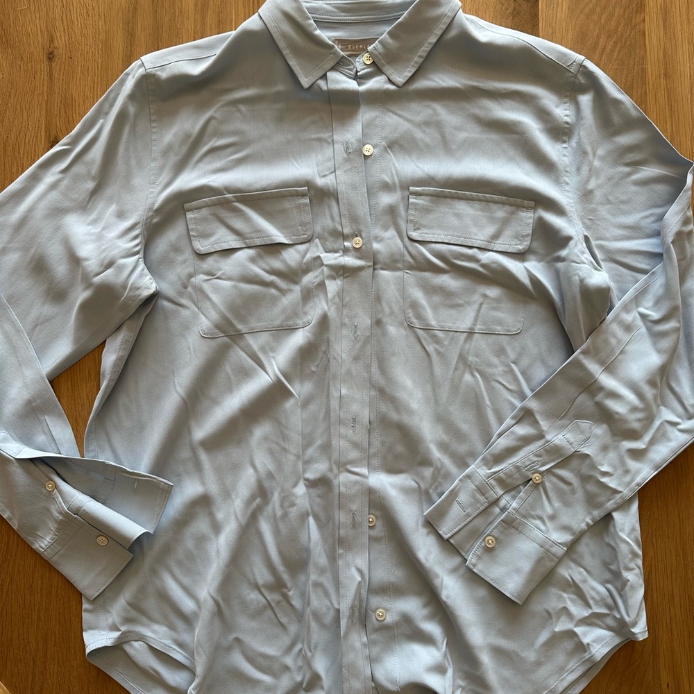 Everlane Blue Button Down Shirt